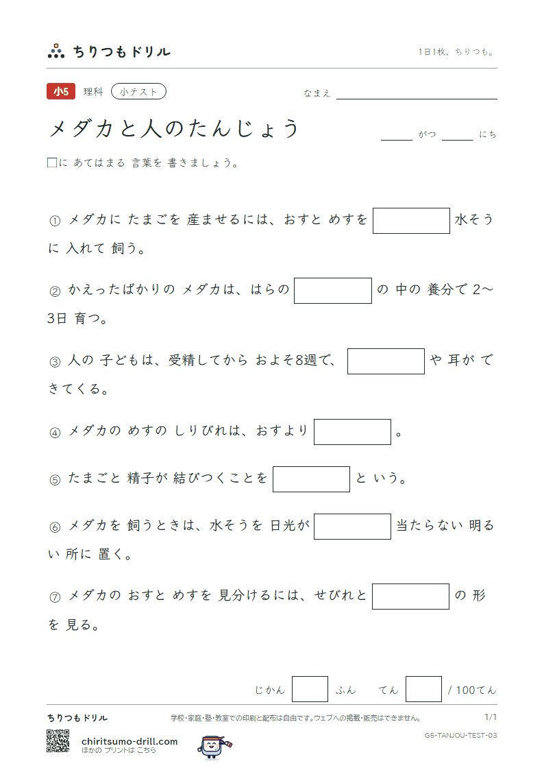 メダカと人のたんじょう 小テスト その3の見本