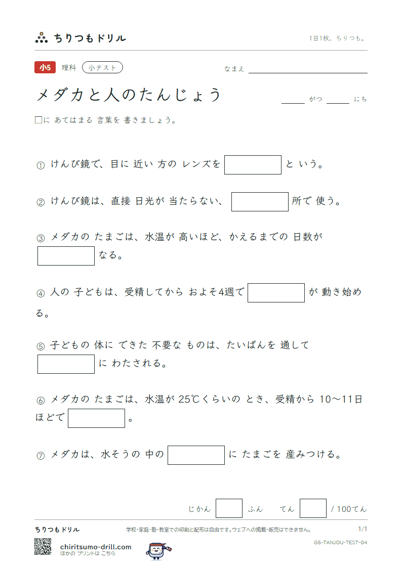 メダカと人のたんじょう 小テスト その4の見本
