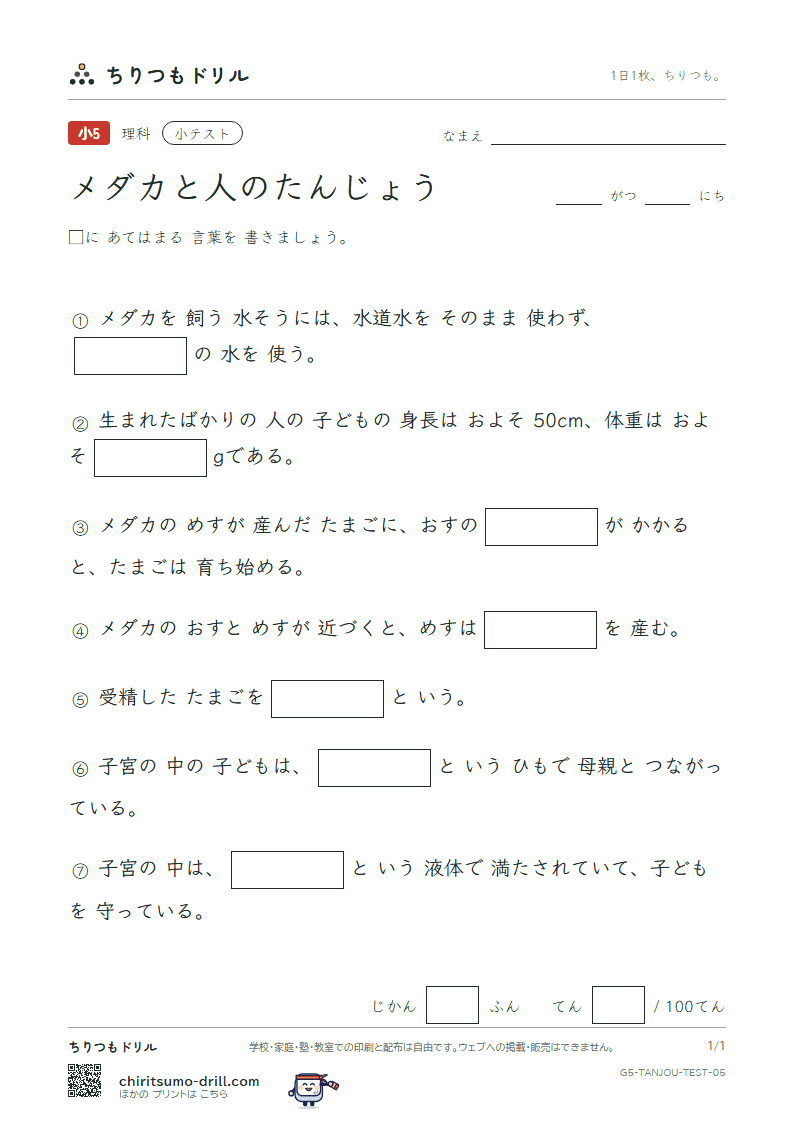 メダカと人のたんじょう 小テスト その5の見本