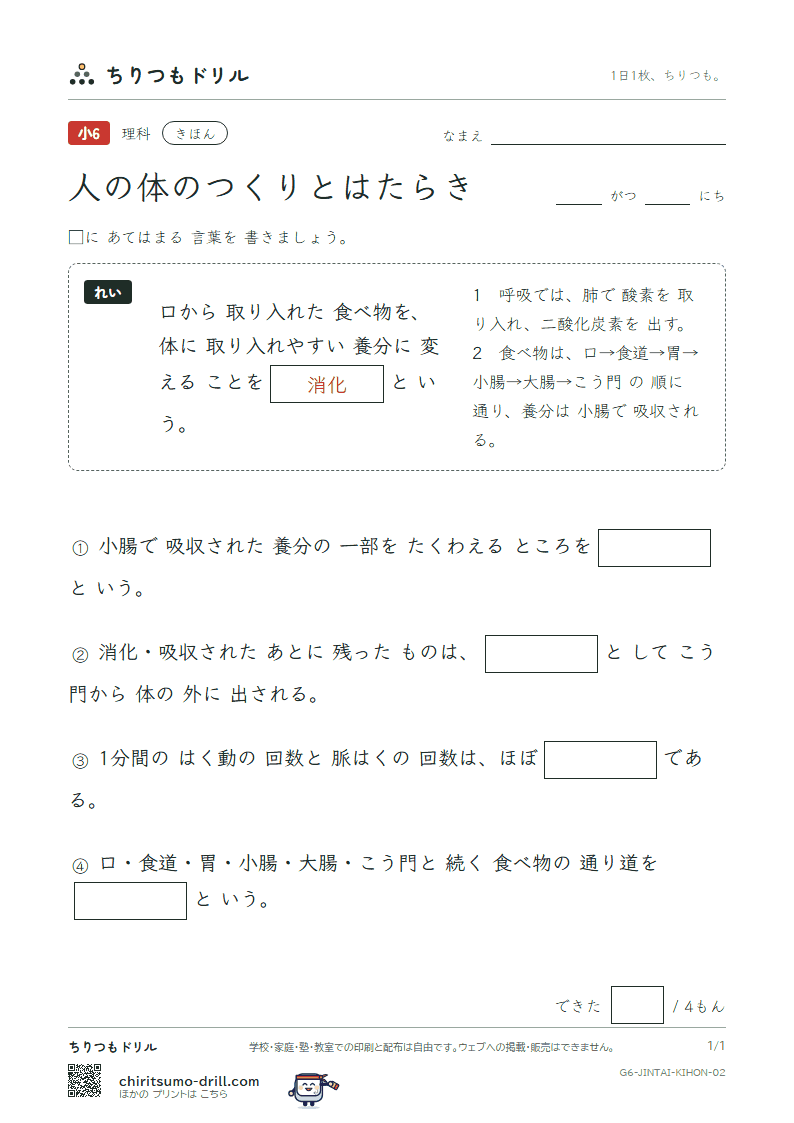 人の体のつくりとはたらき きほん その2の見本