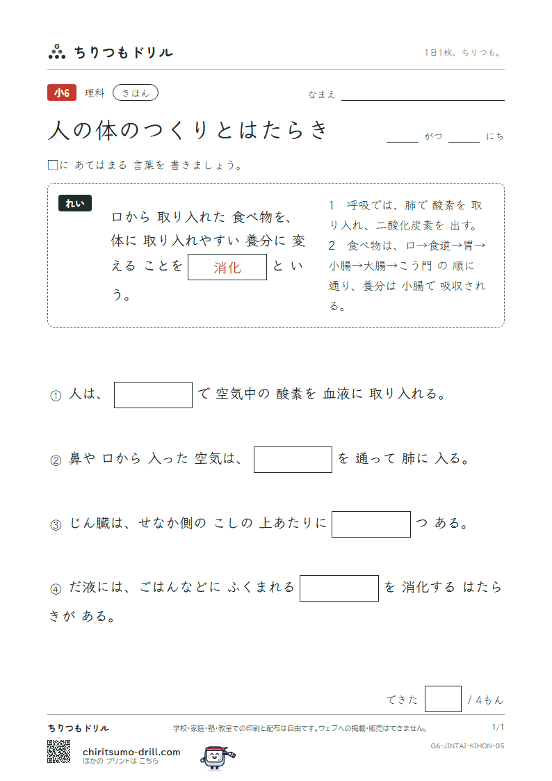 人の体のつくりとはたらき きほん その5の見本