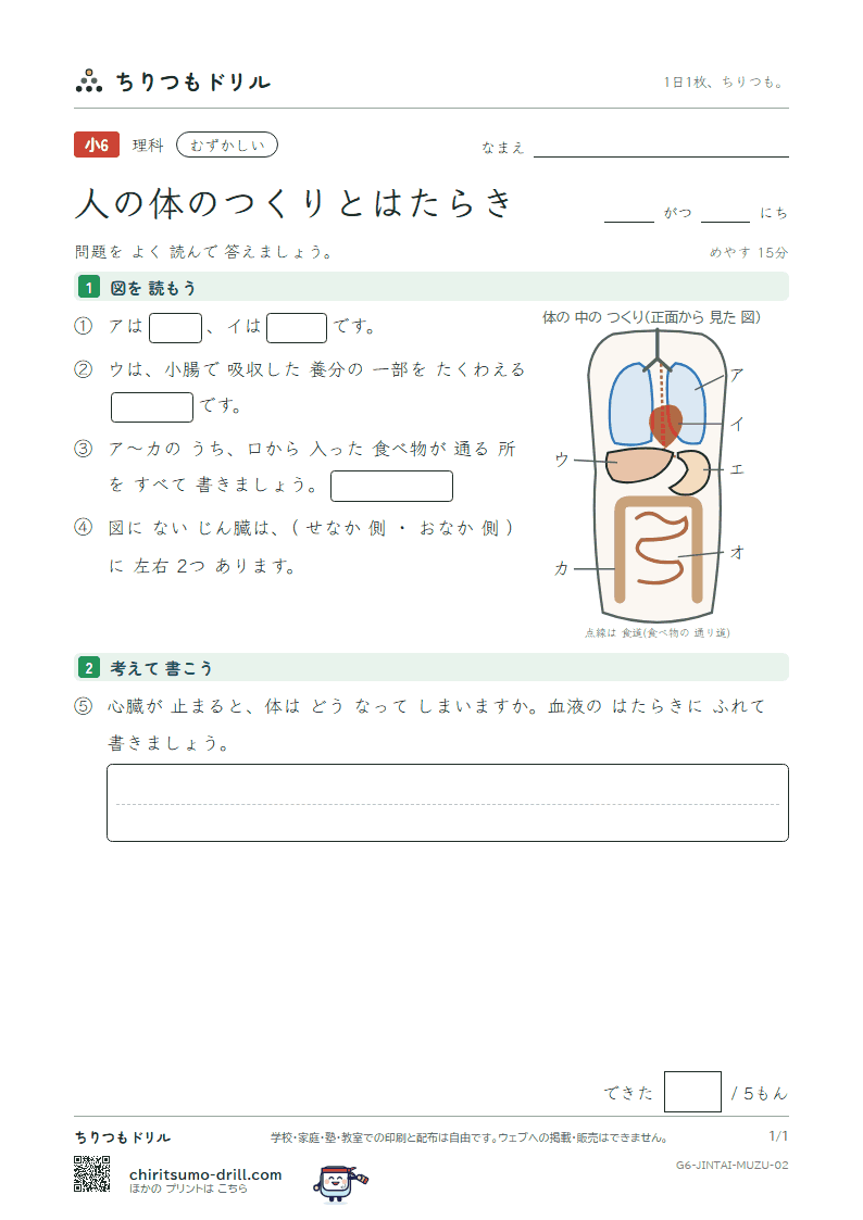 人の体のつくりとはたらき むずかしい その2の見本