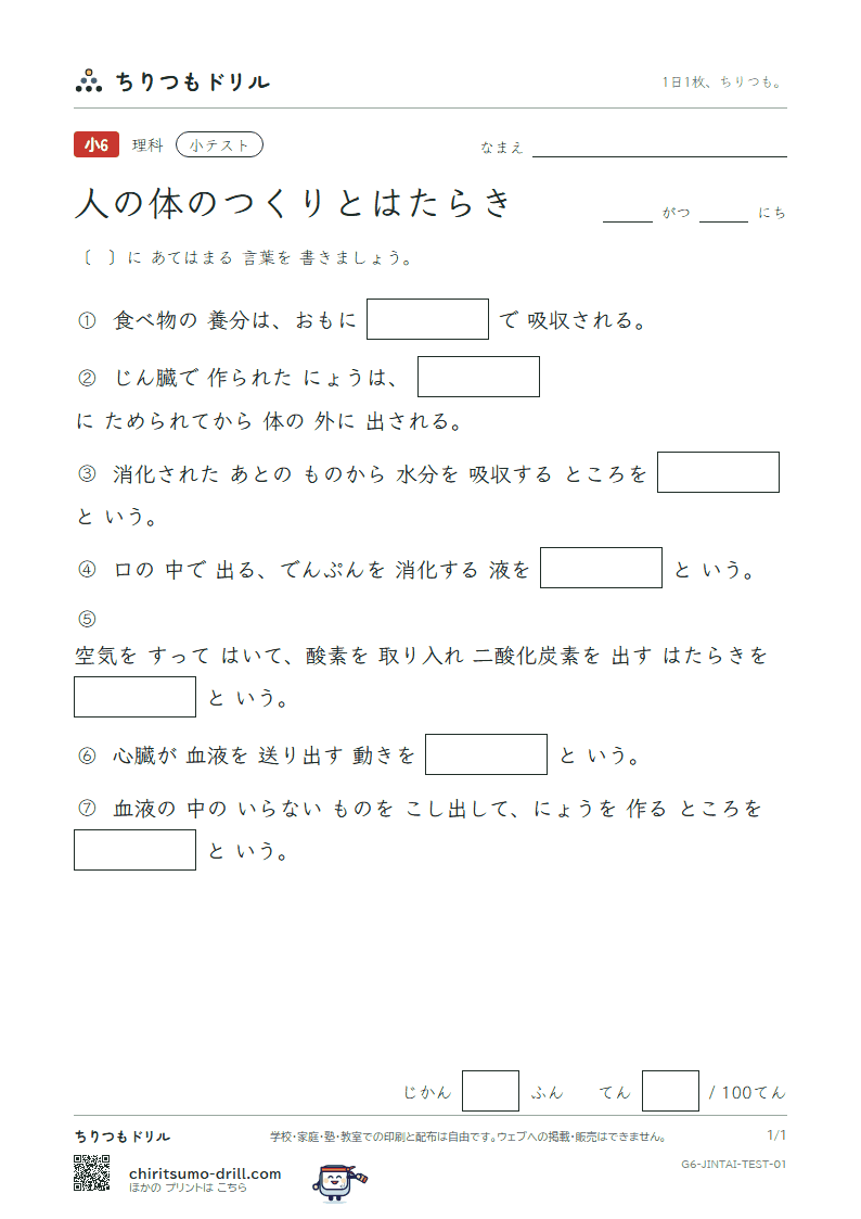 人の体のつくりとはたらき 小テスト その1の見本