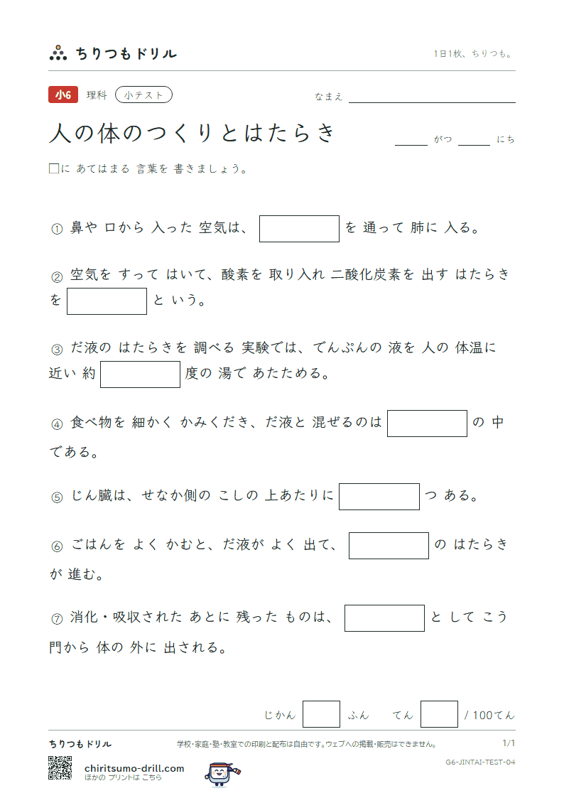 人の体のつくりとはたらき 小テスト その4の見本